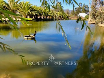 Hermosa parcela de 10.000 m/2 en Condominio La Foresta de Zapallar