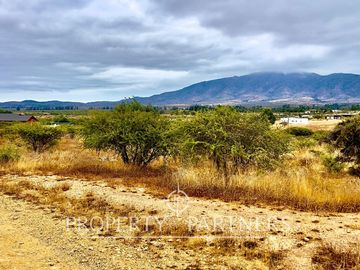 Hermosa parcela de 10.000 m/2 en Condominio La Foresta de Zapallar