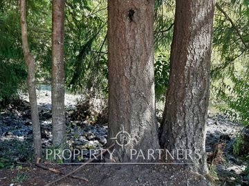 Terreno en excelente ubicación entre calle principal y Río Fuy de Neltume