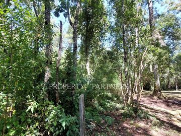 Gran parcela con bosque nativo