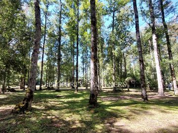 Gran parcela con bosque nativo