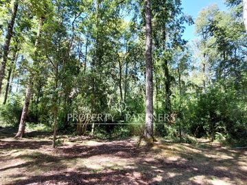 Gran parcela con bosque nativo