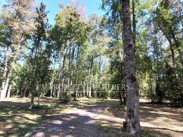 Gran parcela con bosque nativo