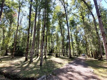 Gran parcela con bosque nativo