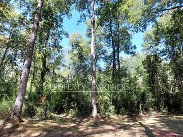 Gran parcela con bosque nativo