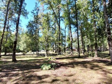 Gran parcela con bosque nativo