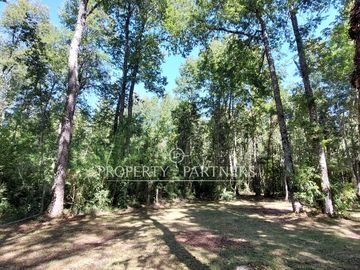 Gran parcela con bosque nativo