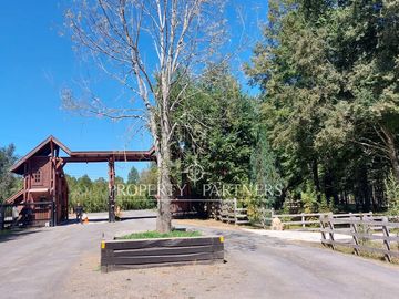 Gran parcela con bosque nativo