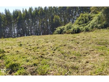 PARCELA VISTA LAGO RIÑIHUE SECTOR RIVERA SUR