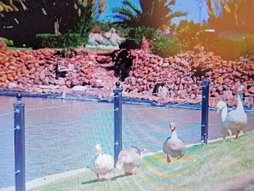 TERRENO EN VENTA QUERETARO EN EL FARO DE LOS CISNES