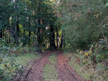4 lotes de 5 Ha cada en Los Tayos Altos