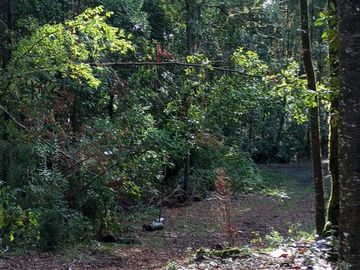 4 lotes de 5 Ha cada en Los Tayos Altos