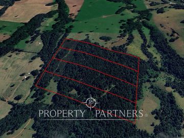 4 lotes de 5 Ha cada en Los Tayos Altos