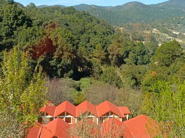 Cabañas Omitlán