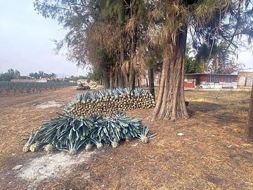 VENTA DE TERRENO EN LOS SAUCES, (FRENTE A PUERTO INTERIOR) LEON, GUANAJUATO