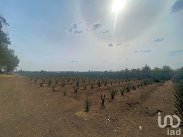 VENTA DE TERRENO EN LOS SAUCES, (FRENTE A PUERTO INTERIOR) LEON, GUANAJUATO