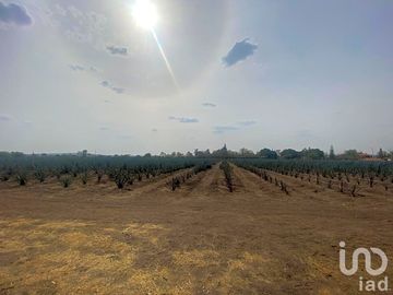 VENTA DE TERRENO EN LOS SAUCES, (FRENTE A PUERTO INTERIOR) LEON, GUANAJUATO