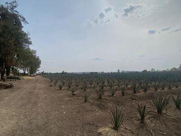 VENTA DE TERRENO EN LOS SAUCES, (FRENTE A PUERTO INTERIOR) LEON, GUANAJUATO