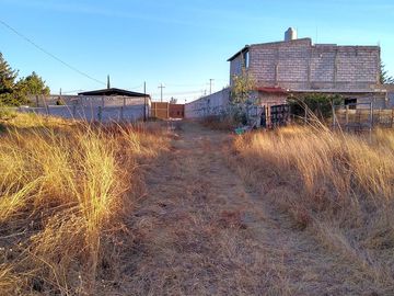 ¡Tranquilidad campestre y comodidad: hermosa casa con amplio terreno y servicios en Presa de Bravo!