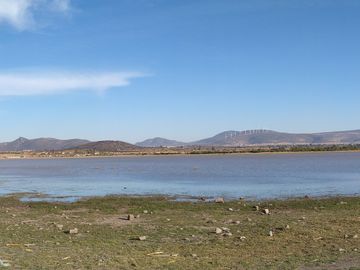 ¡Tranquilidad campestre y comodidad: hermosa casa con amplio terreno y servicios en Presa de Bravo!