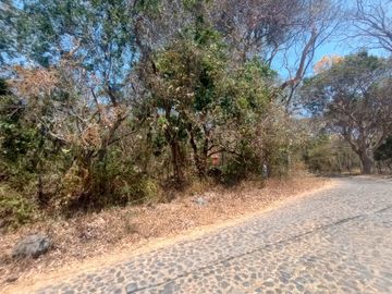 TERRENO CAMPESTRE EN FRACC. JOYITAS