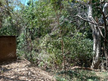 TERRENO CAMPESTRE EN FRACC. JOYITAS
