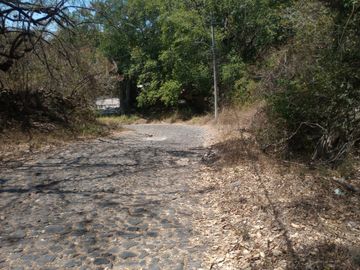 TERRENO CAMPESTRE EN FRACC. JOYITAS