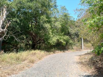 TERRENO CAMPESTRE EN FRACC. JOYITAS