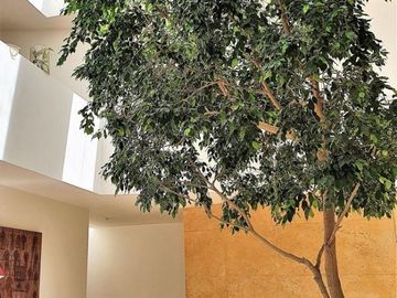Residencial e venta; Hacienda Santa Fe