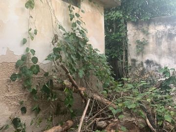 Casa para renovar en el centro dé Merida