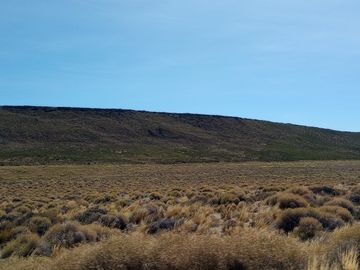 Campo en venta