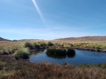 Campo en venta