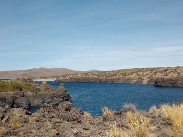 Campo en venta