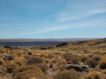 Campo en venta