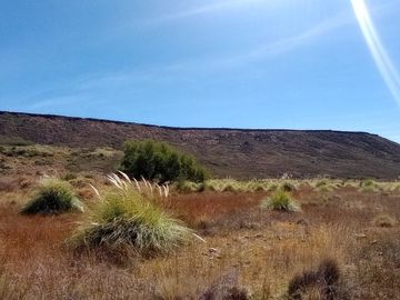 Campo en venta
