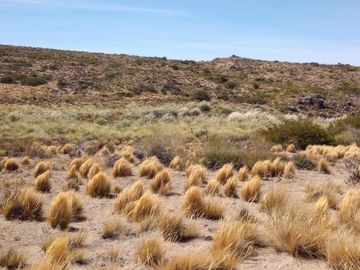 Campo en venta