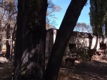 Campo en venta