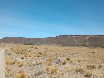 Campo en venta