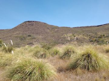 Campo en venta