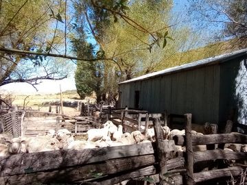 Campo en venta