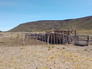 Campo en venta