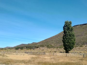 Campo en venta