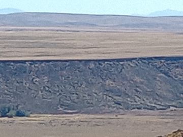 Campo en venta