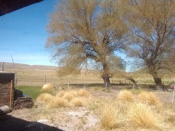 Campo en venta