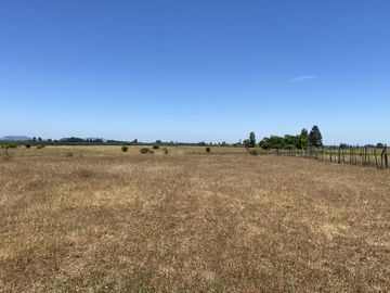 Se vende terreno agricola en Sector San Gerardo, comuna Rio Claro