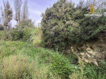 QUILPUÉ. LAS CANALES. COLLIGUAY. VENTA CAMPING DE 16.518 M2