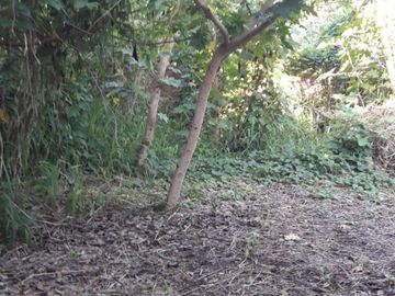 VENTA CASA  EN LAGUNA PAIVA