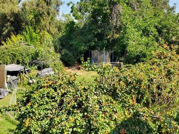 Sitio en Venta en LAs Chilas Sur, Lo Cañas