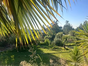 Sitio en Venta en LAs Chilas Sur, Lo Cañas