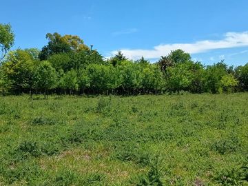 Venta Terreno Lote Casa Pileta 1 Hectárea Cañuelas
